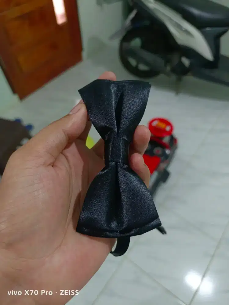 DASI KUPU-KUPU MATAHARI