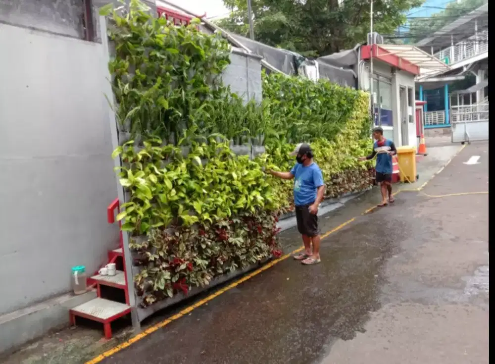 Tukang Taman Vertical Garden | shafa taman