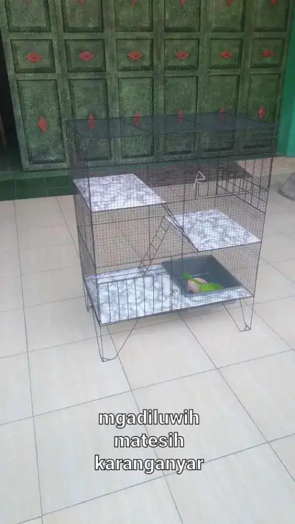 Kandang kucing tingkat