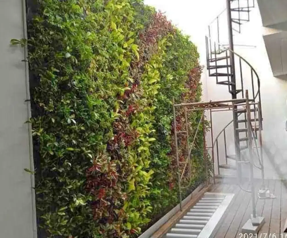 VERTICAL GARDEN POHON HIDUP DAN SINTETIS HARGA PERMETER