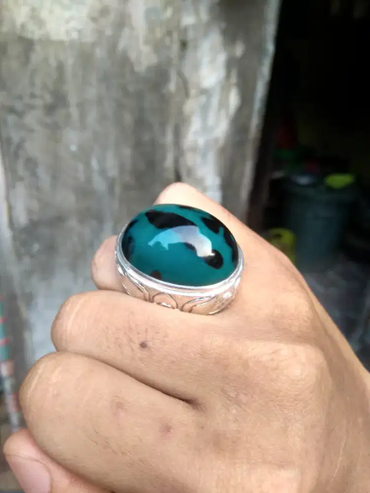 Bacan Doko Lawas Totol Natural
