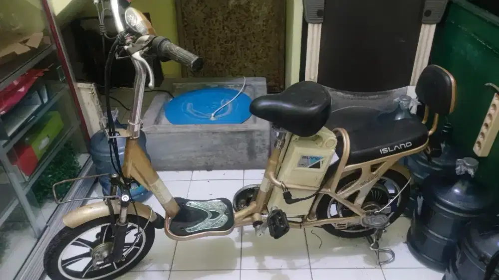 Sepeda listrik (tidak ada aki & charger)