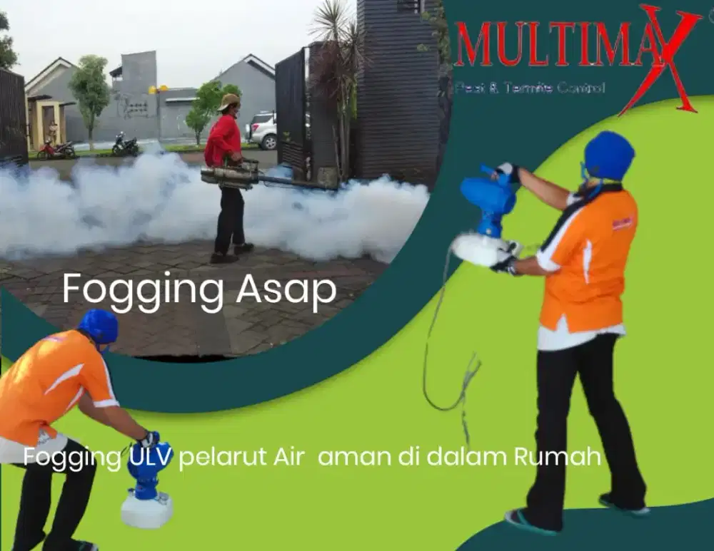 Ready Insect Control pengendalian Nyamuk dengan Fogging massal