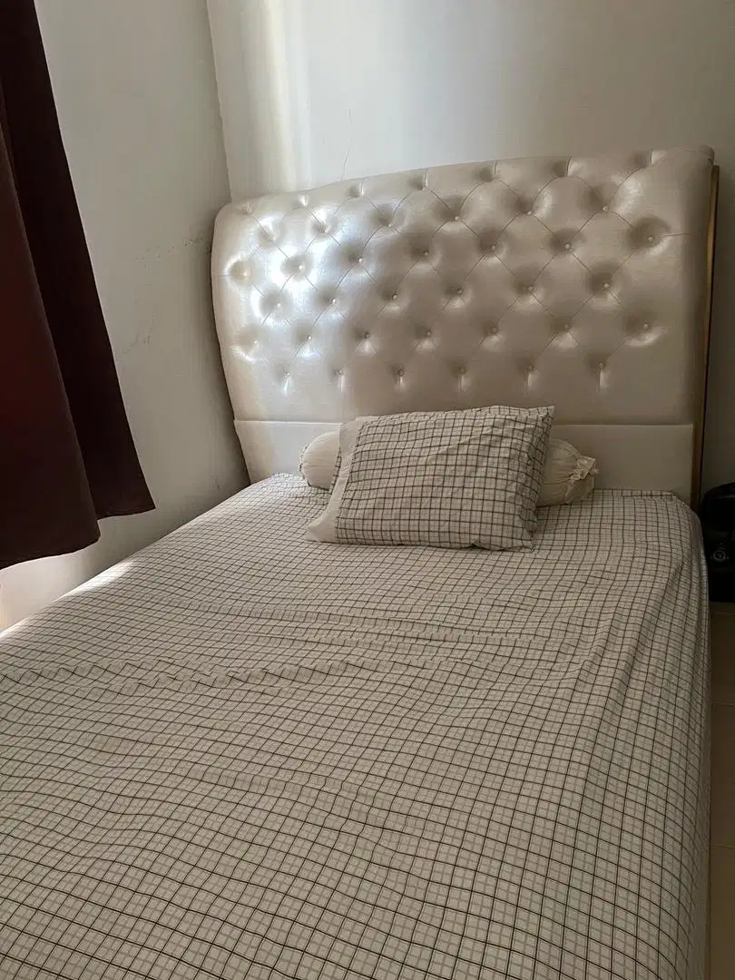 PREMIUM QUALITY Dipan & Bedhead Pierre Cardin Luxury Collection