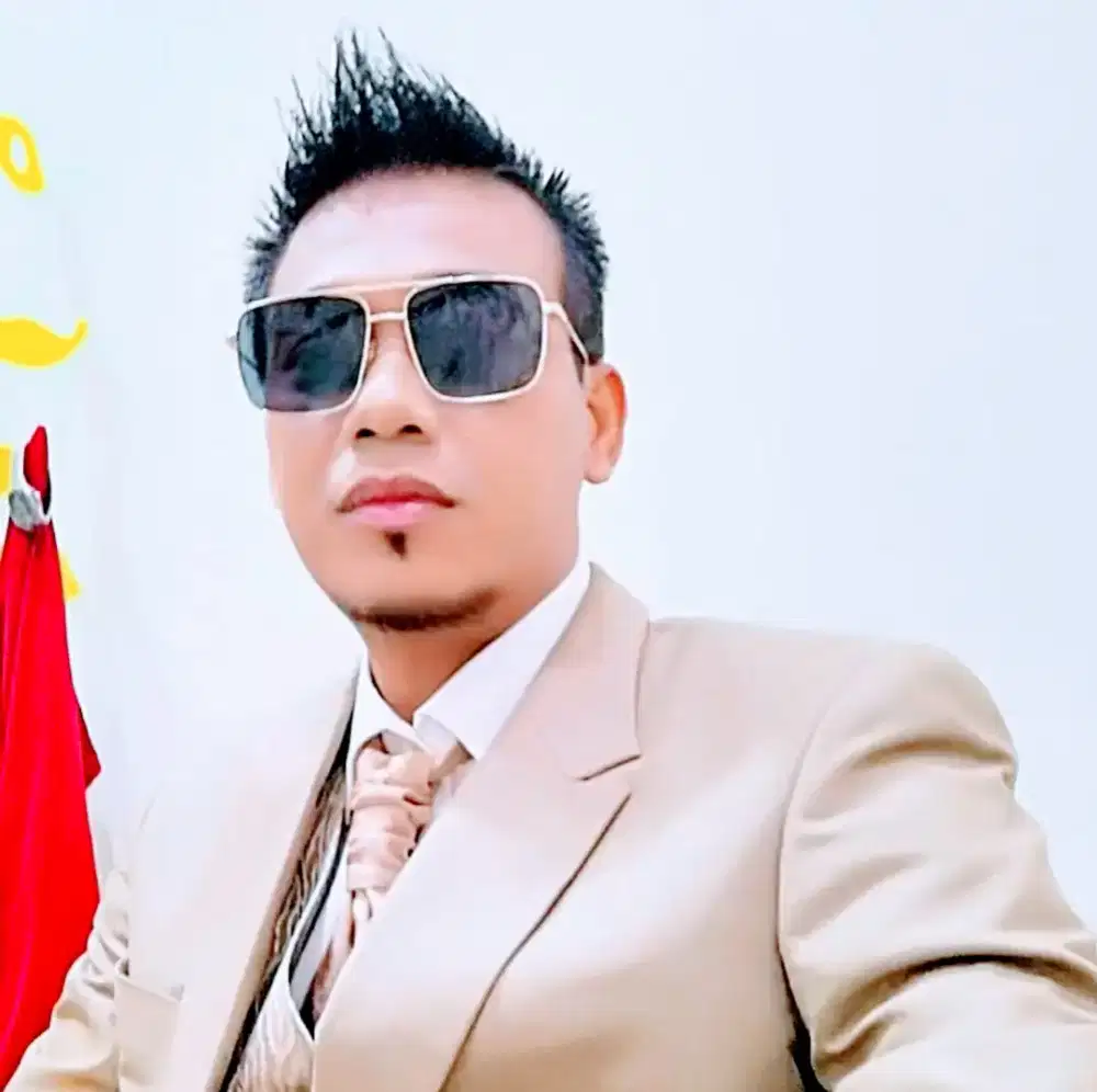 CARI KERJA SUPIR KANTOR , PRIBADI BISA  MANUAL METIC ,HIBRID & LISTRIK