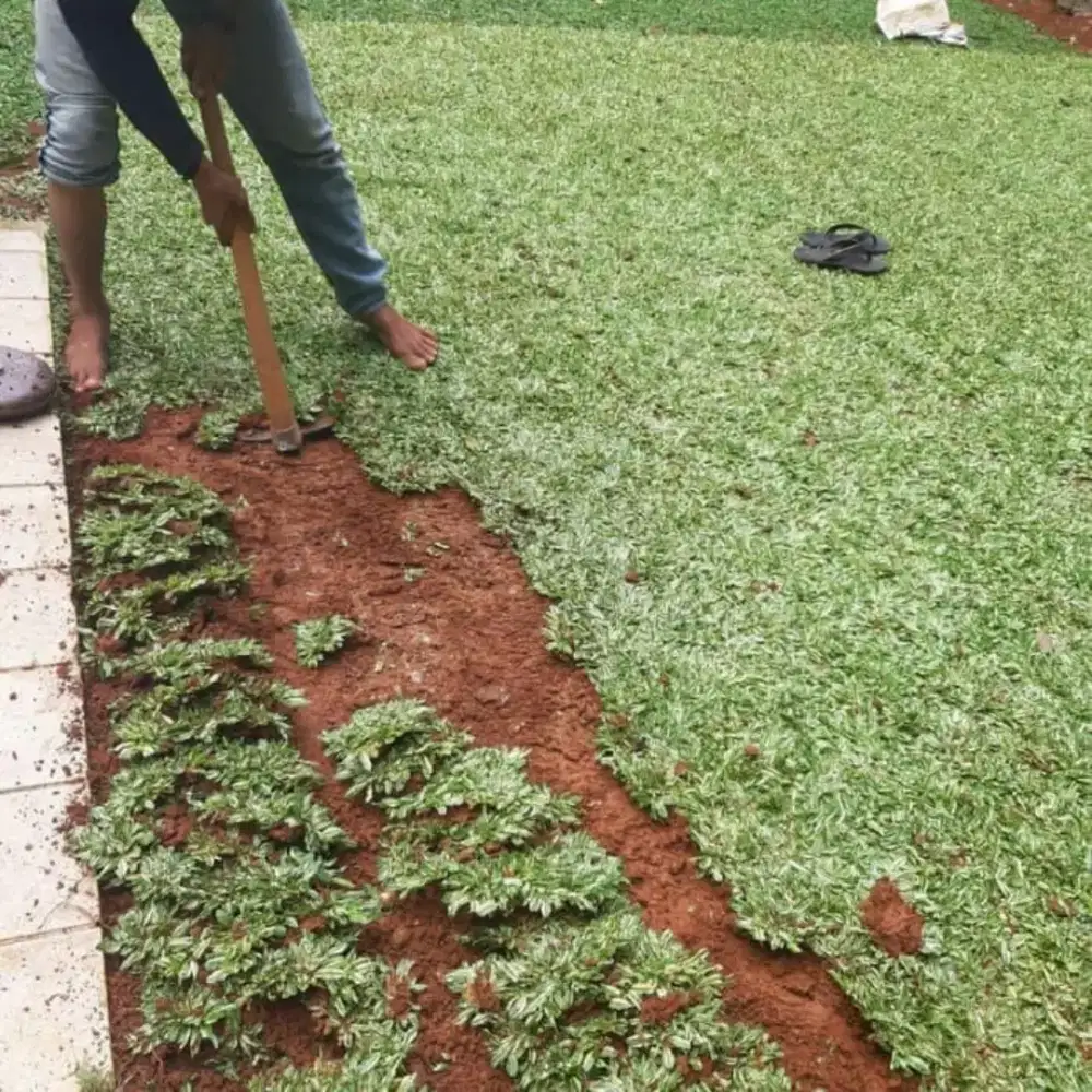 Tukang taman cibinong