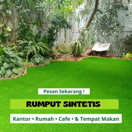 Ready Rumput Sintetis