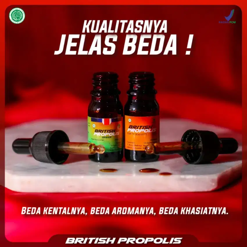 British Propolis asli solo