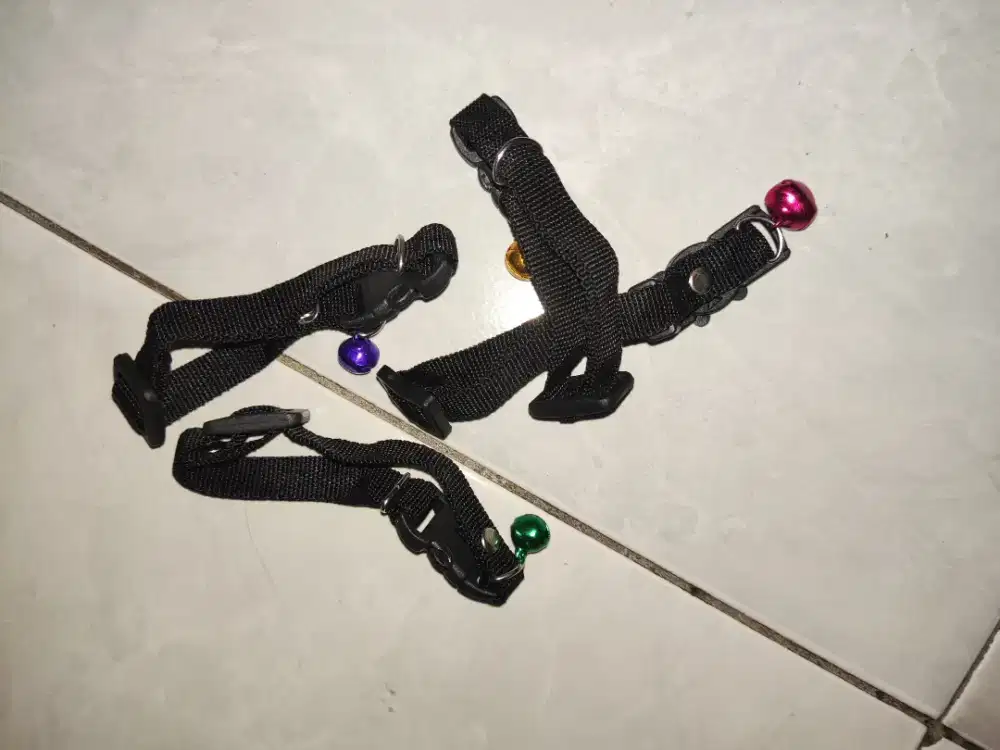 Kalung Lonceng Kucing