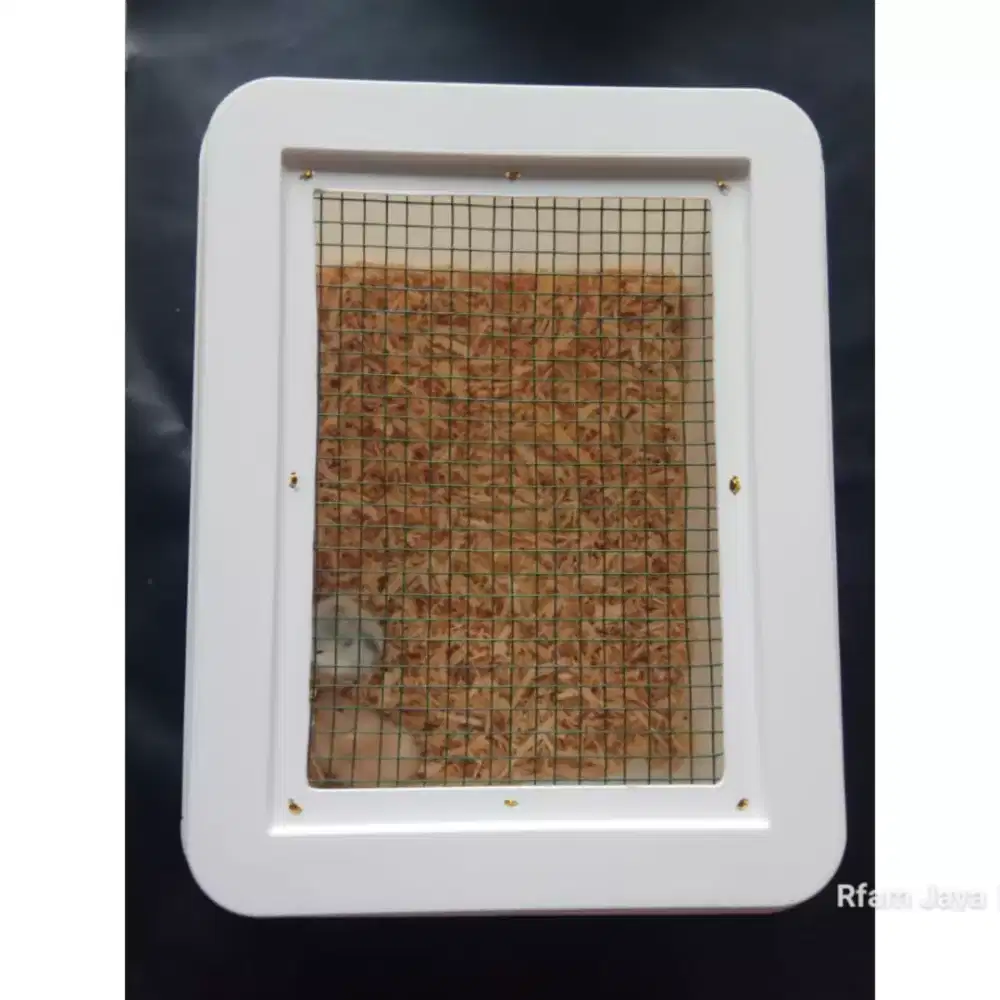 Kandang hamster gerbil gecko box kotak