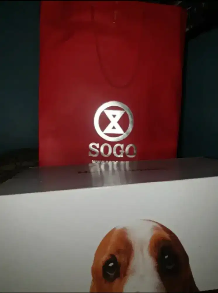 Sepatu Hush Puppies Original