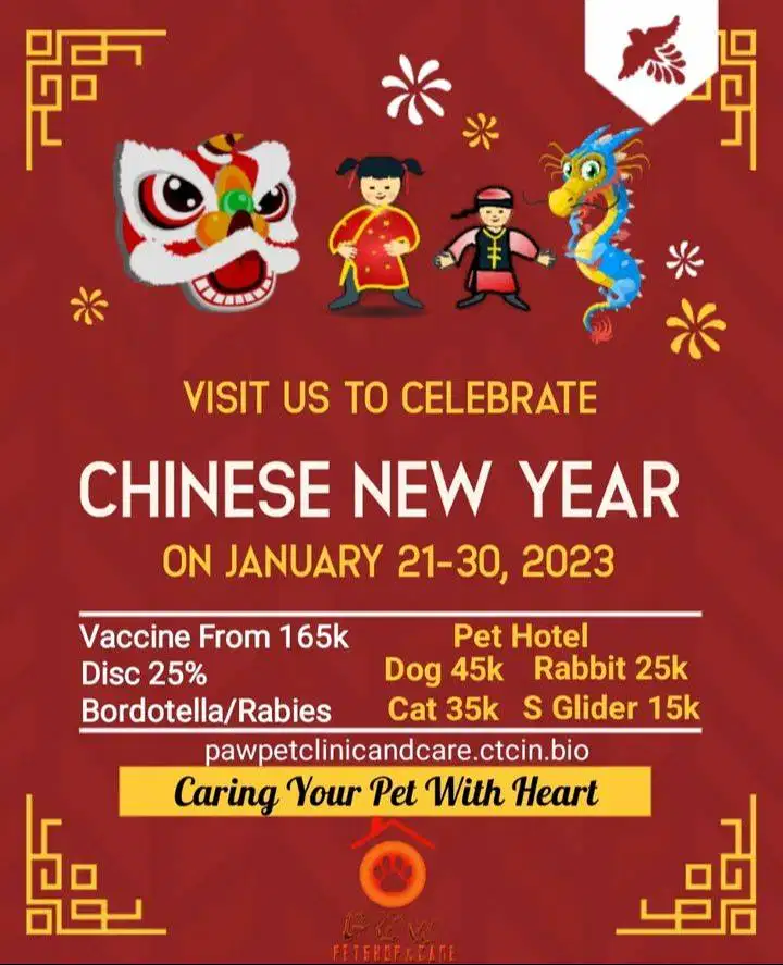 grooming kucing surabaya timur