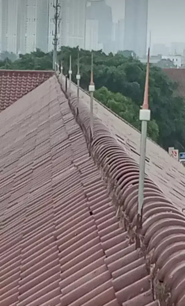 Pasang alat penangkal petir radius dan konvensional