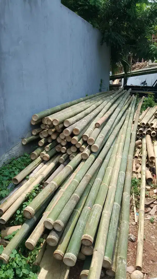 Jual bambu steger proyek jumbo