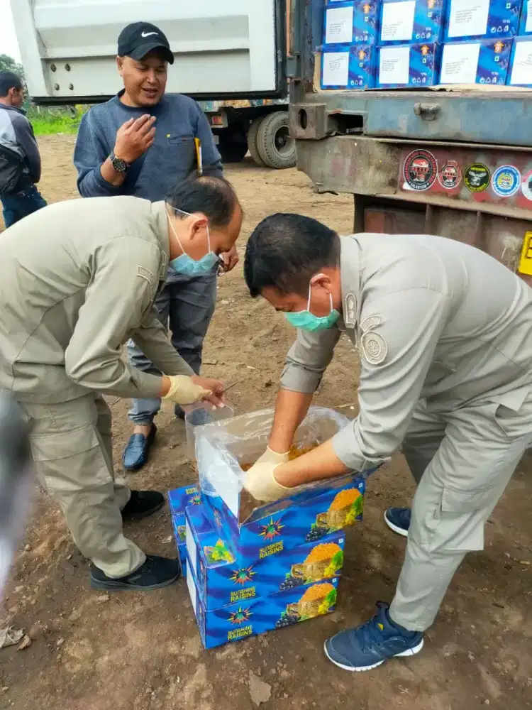 Jasa Import Undername