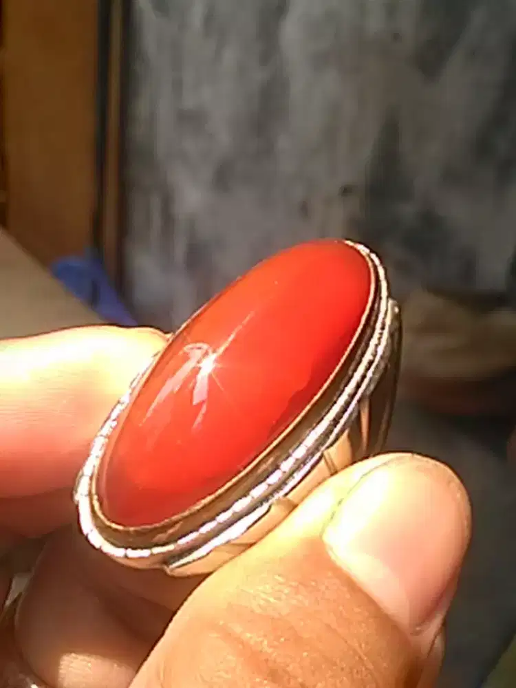 pandan merah ( 361512 )