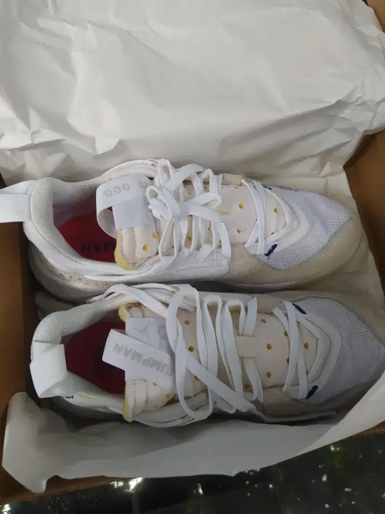 NIKE JORDAN DELTA WHITE VAST GREY CD6109-101