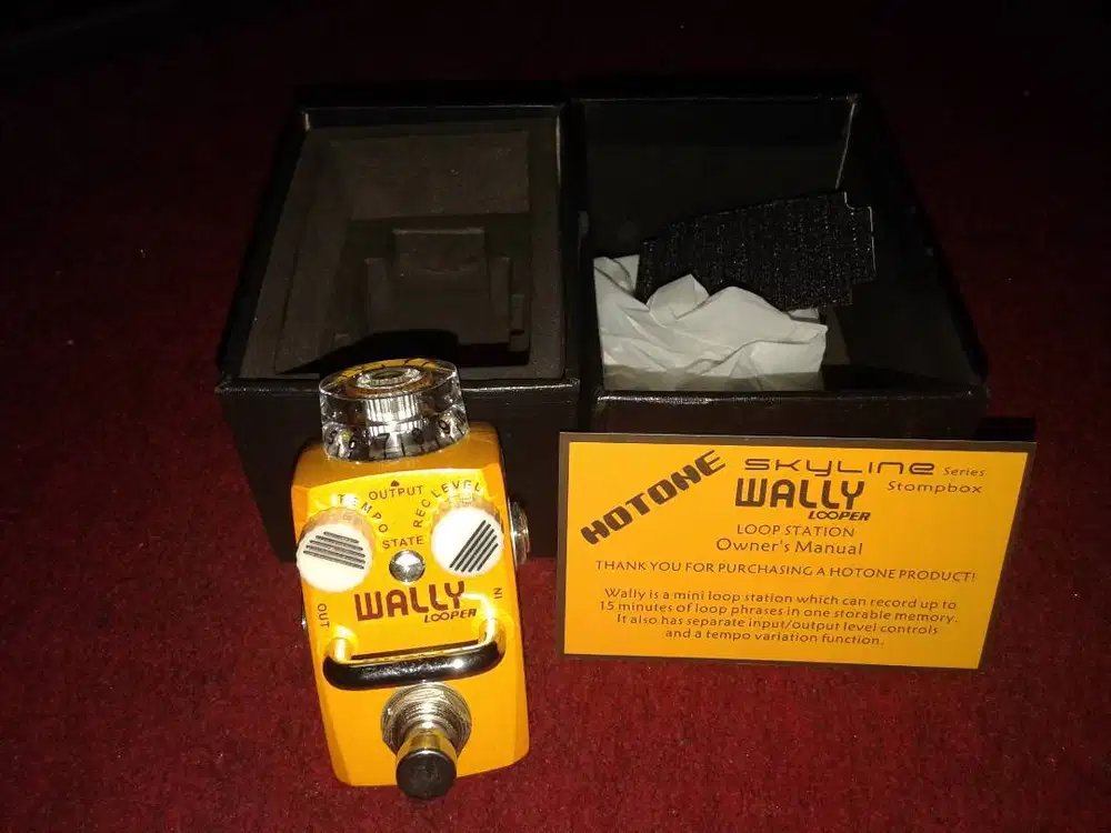 Hotone wally looper (not mooer)