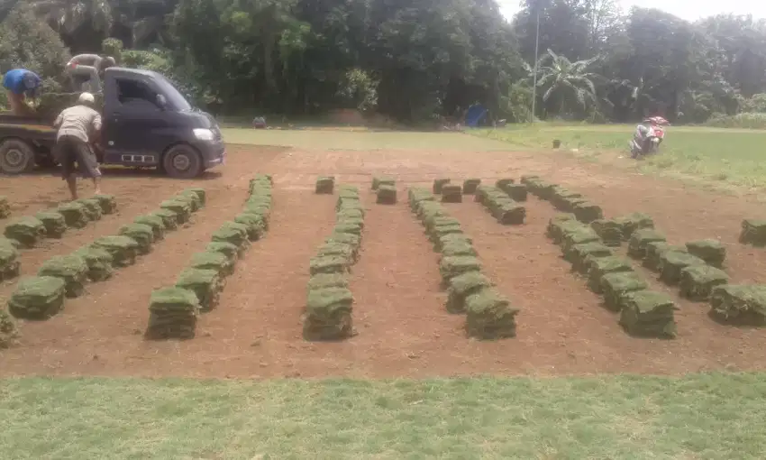 Toko Rumput dan taman