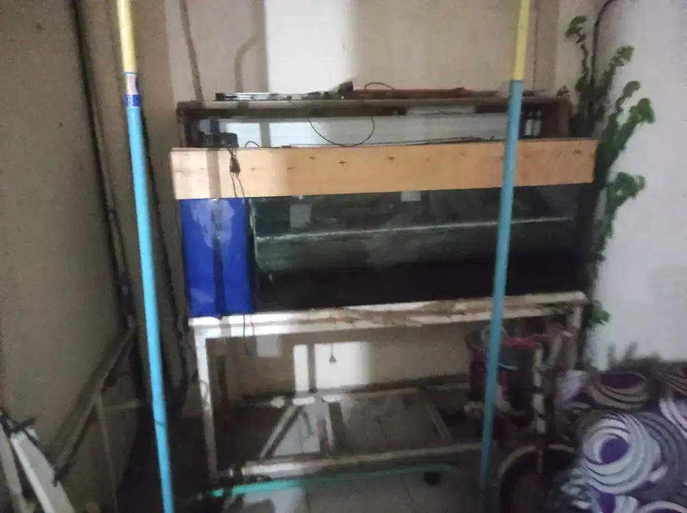 Akuarium 150*50*50 beserta rak