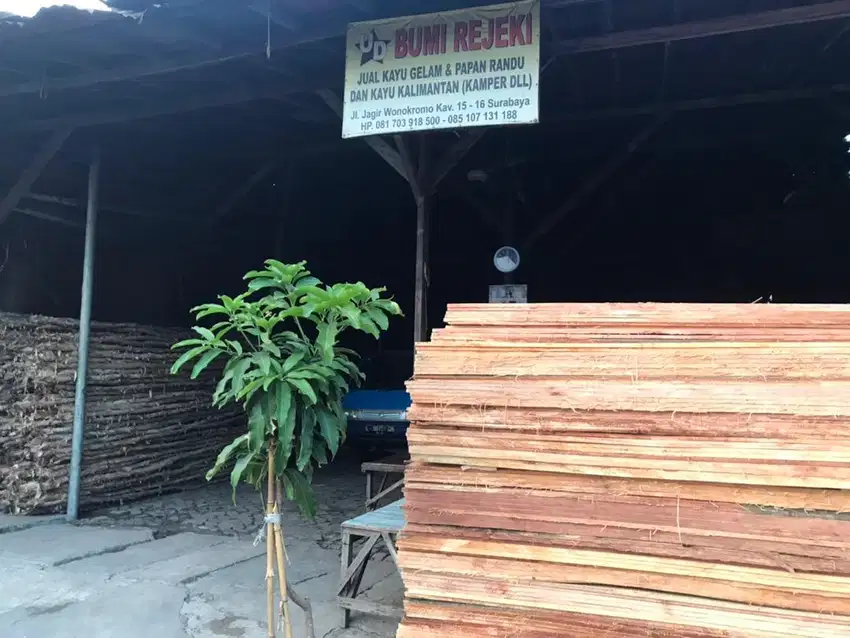 Jual kayu kelapa dan Gelam / Dolken