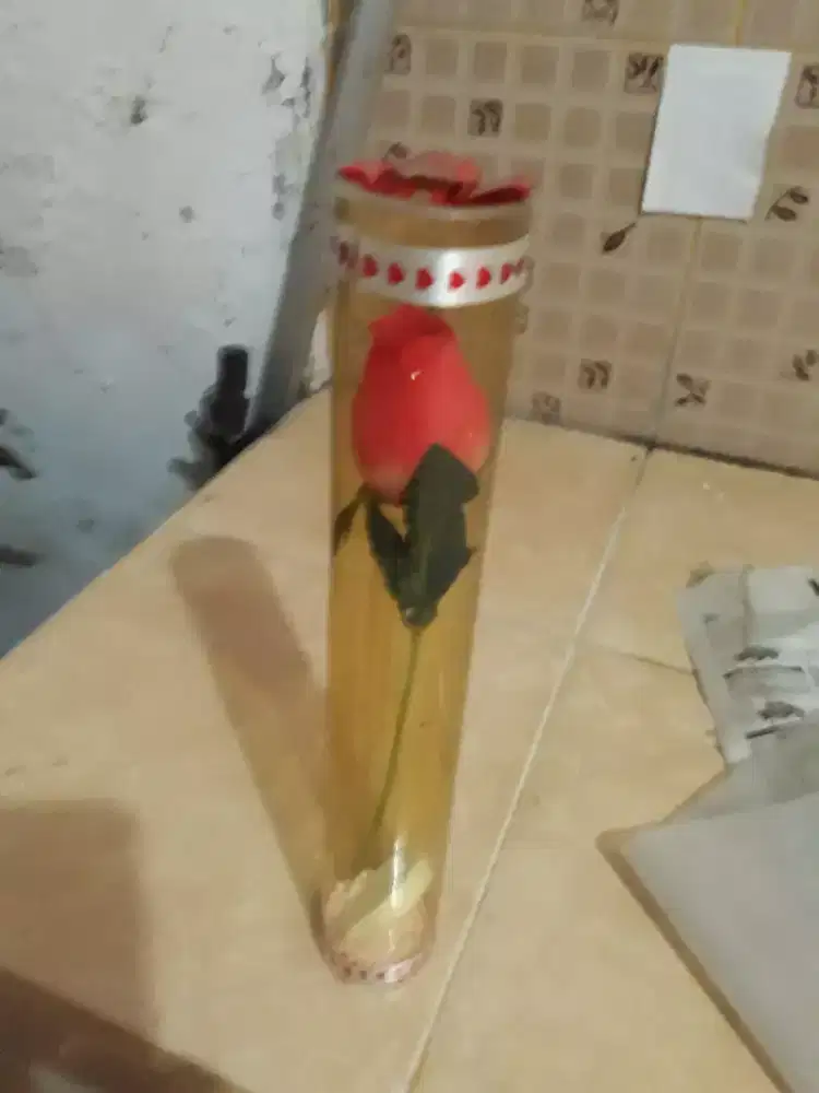 Bunga warna merah edition