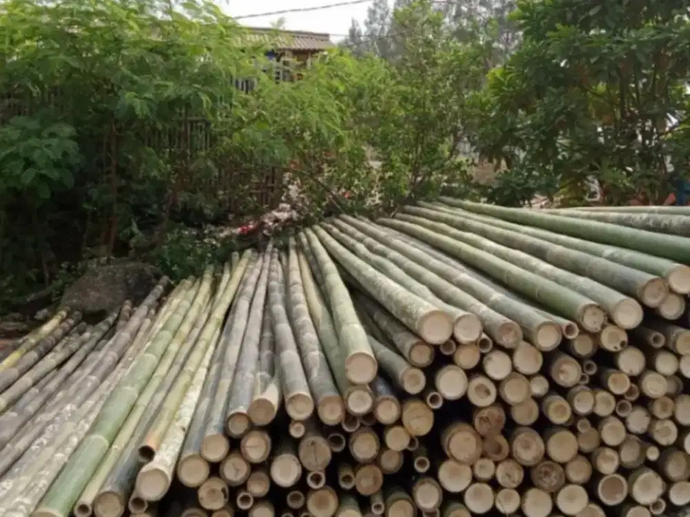 Jual papan,bambu,kaso dll