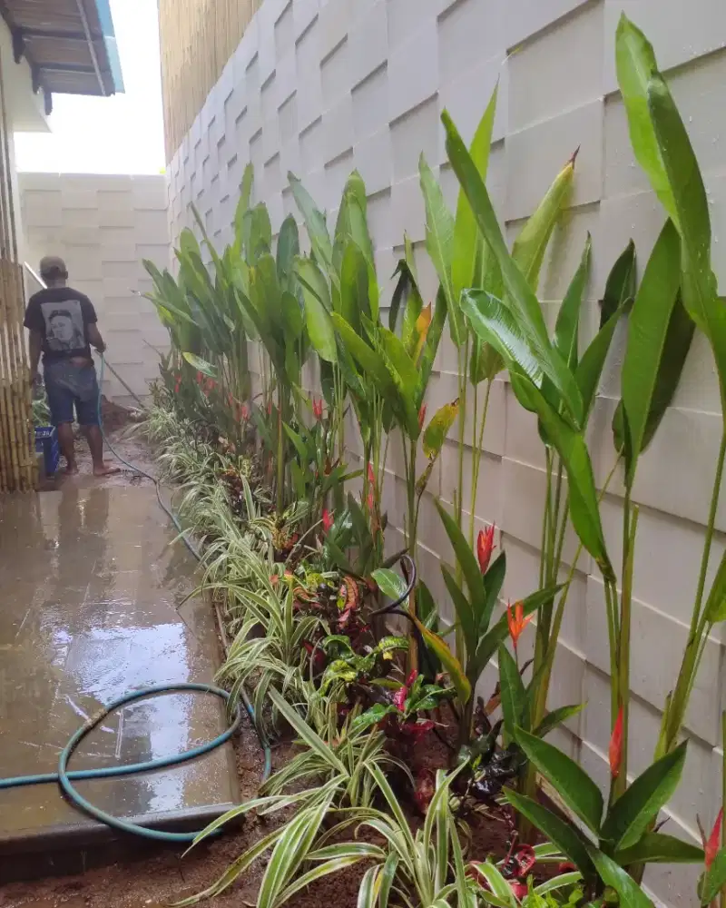 taman minimalis,jasa pembuatan taman,renovasi taman,rumput,bunga