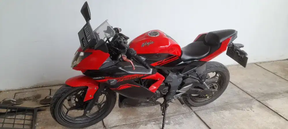 Kawasaki ninja 250 sl mono RR 2019