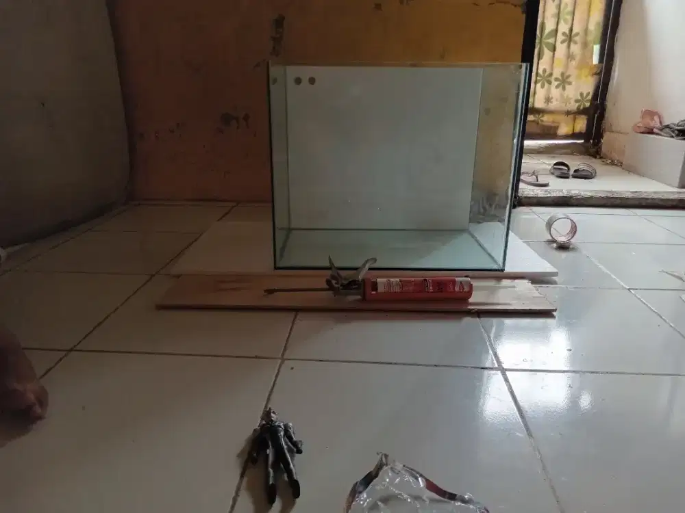 JASA AQUARIUM KACA [Rakit , Service , Maintanance]