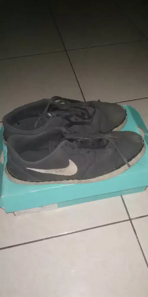 Nike SB check canvas