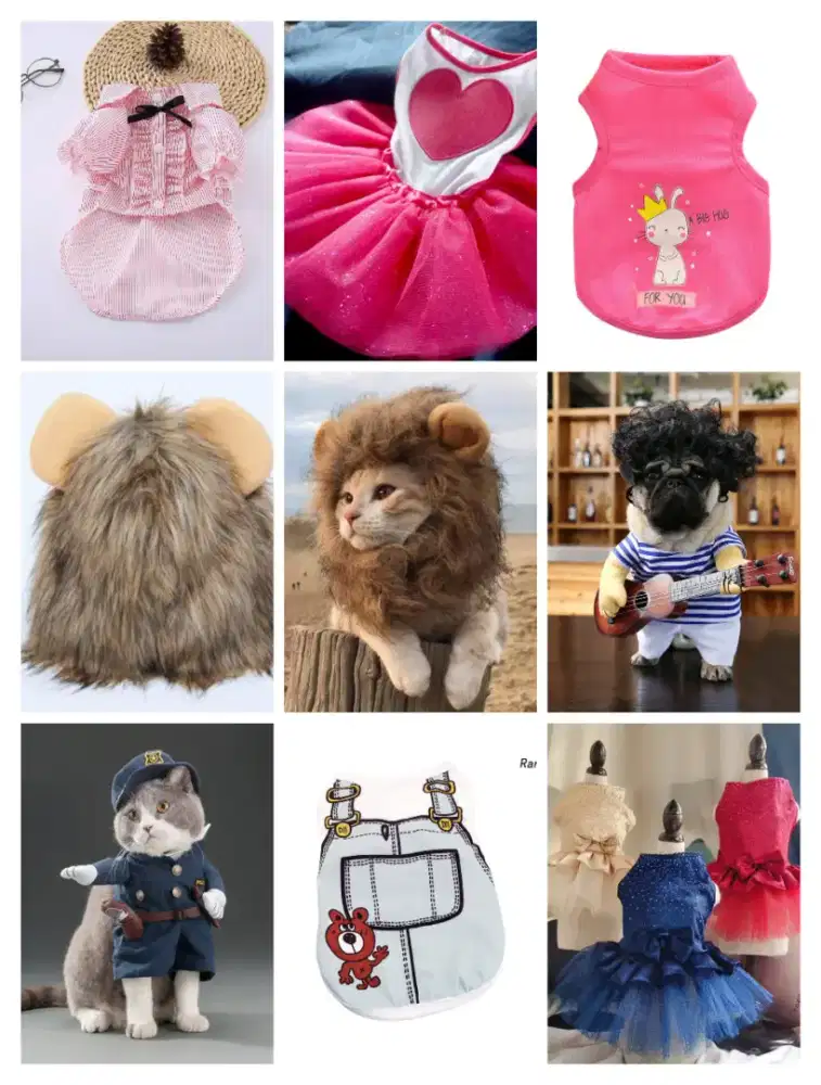 Topi singa kucing dewasa