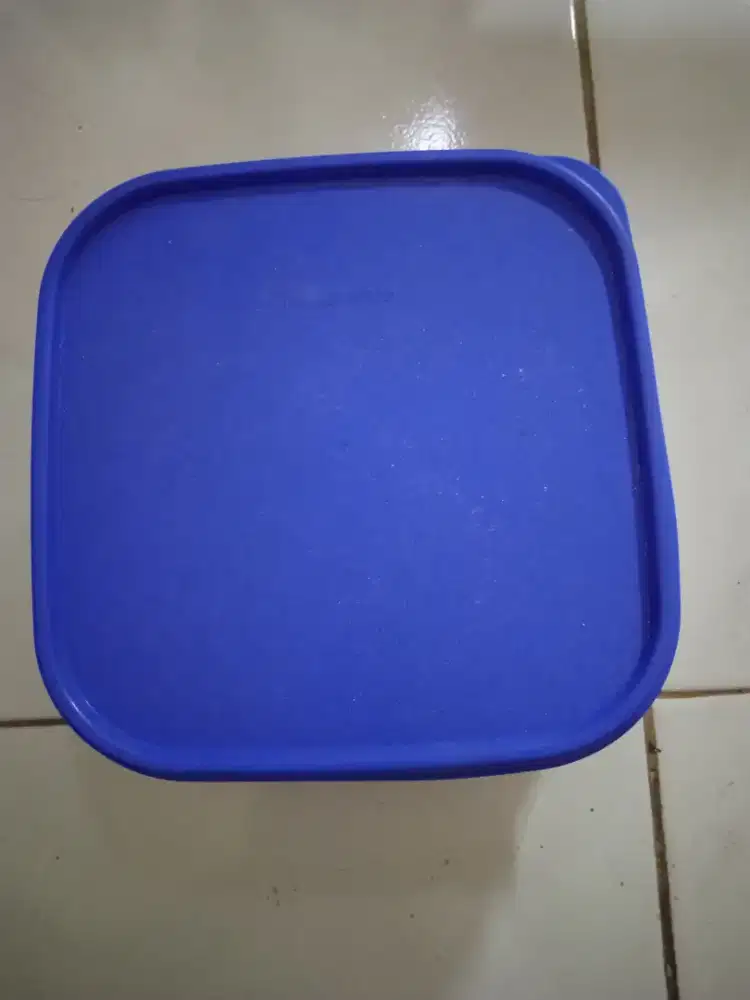 Lunch box merek tupperware