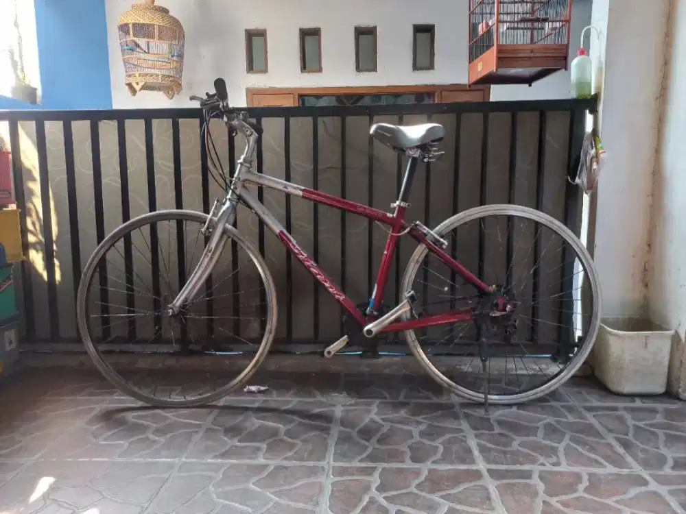 Sepeda Giant cs 2000