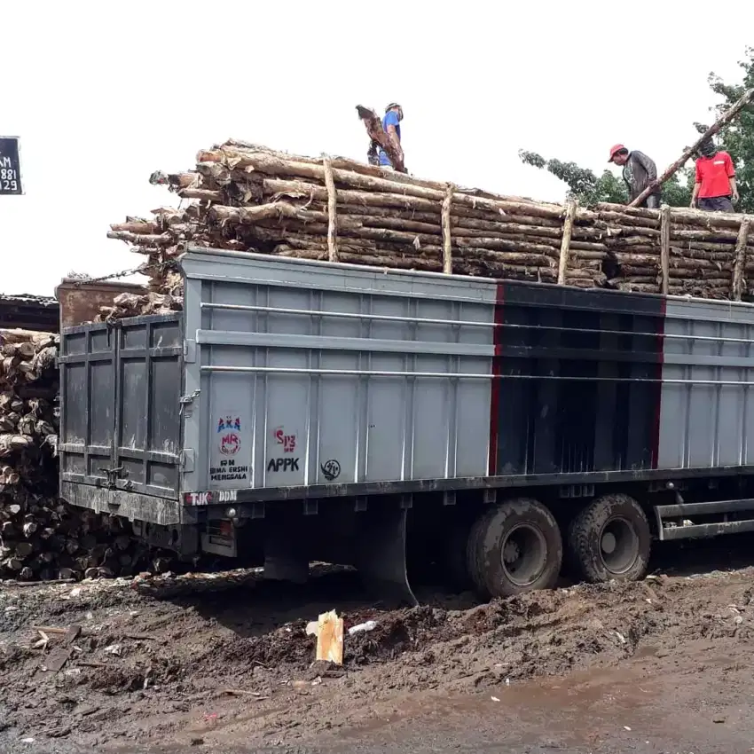 Jual dolken gelam jakarta