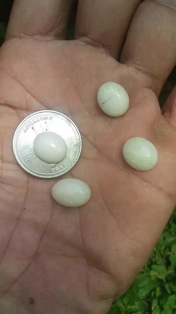 Batu akik Giok Putih