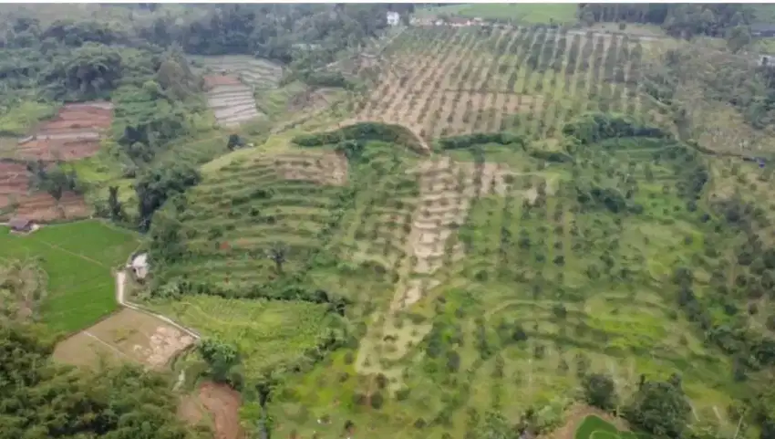 Lahan Perkebunan Luas 12 Hektar di Parungkuda, Sukabumi, Jawa Barat