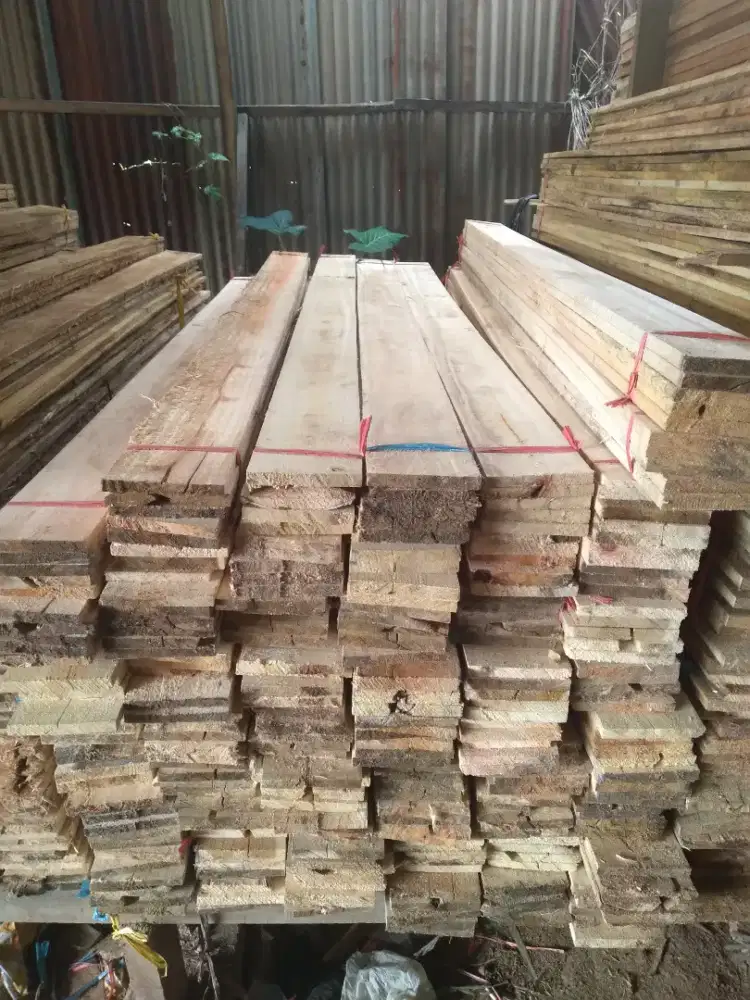 PAPAN 2X15 KAYU ALBA CAMPUR 3M ISI 55 LEMBAR