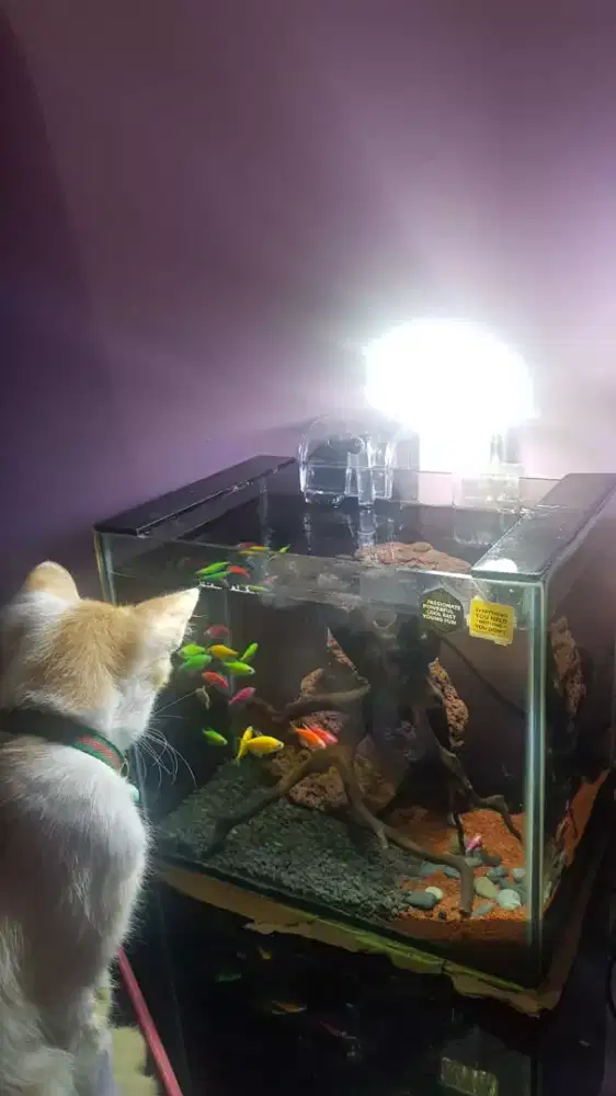 Jasa ojek motor depok