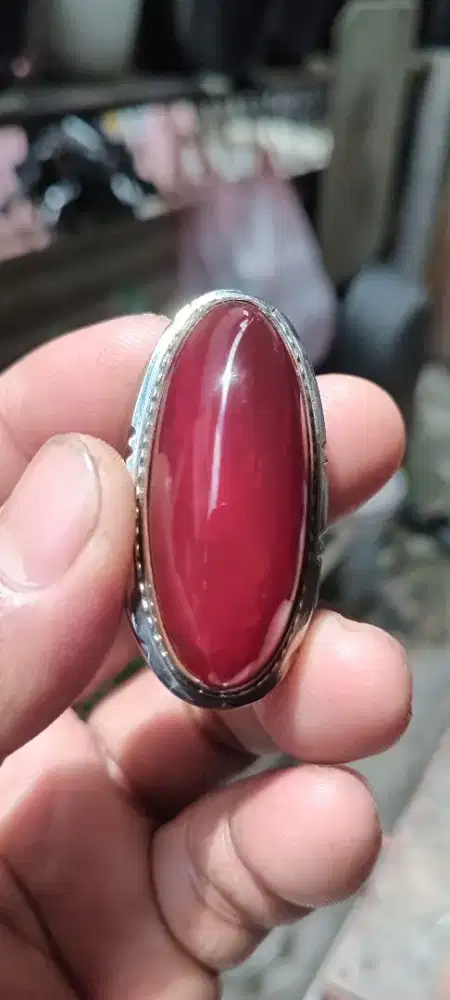 pandan merah ( 381512 )