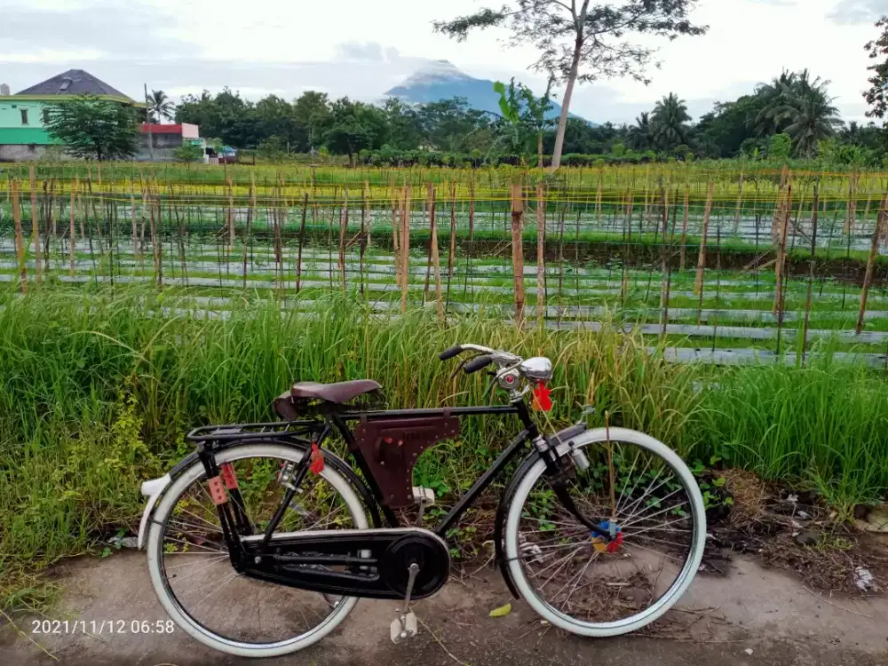 Sepeda onthel Gazelle seri 9 istimewa