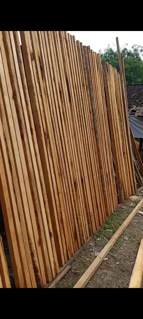 Bekisting Kaso Usuk Begisting Surisuri Glugu Kayu Kelapa 3 meteran