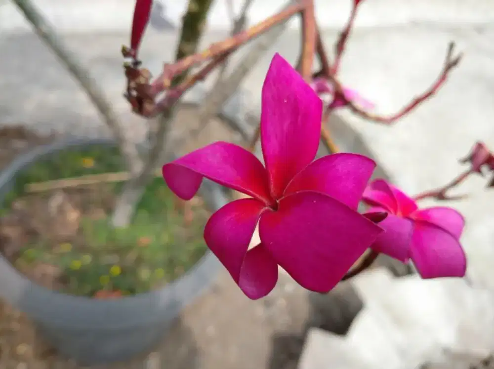 SAMSUNG SEIN J810F|DS 64 GB RESMI