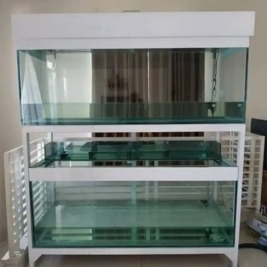 Aquarium arwana 120cm tingkat