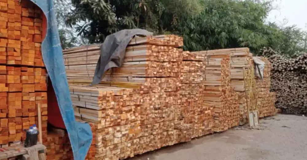 Jual kaso,bambu,dolken