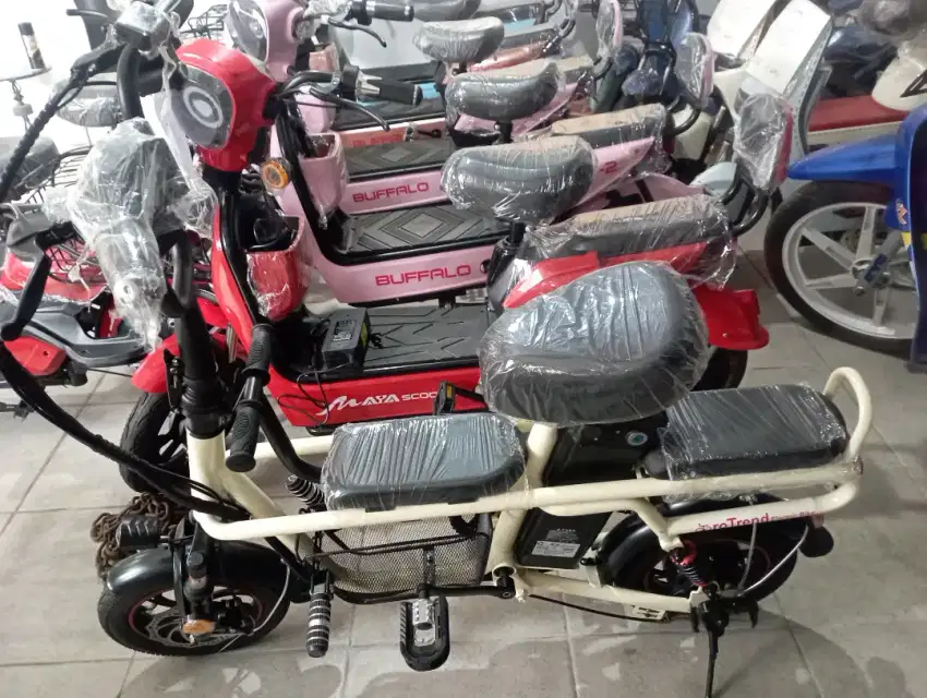 Sepeda listrik model fiido