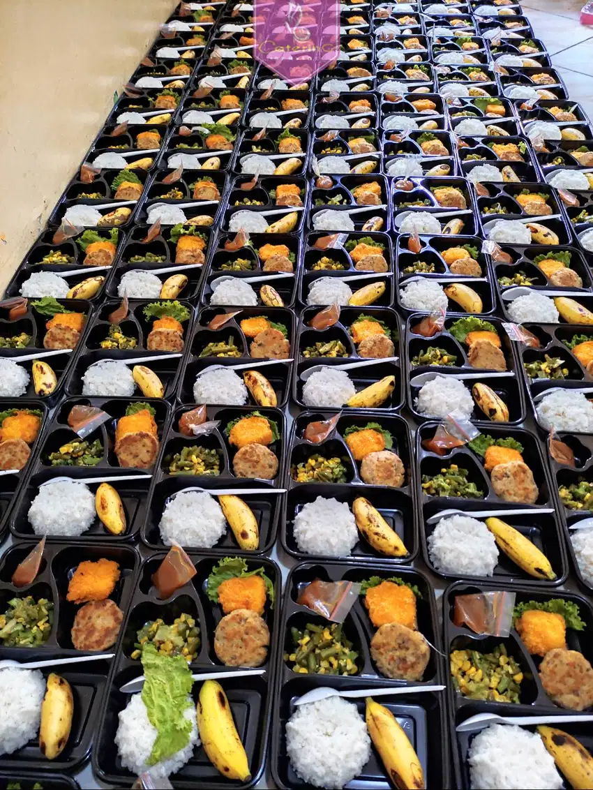 catering ricebox / nasi kotak / nasi bento