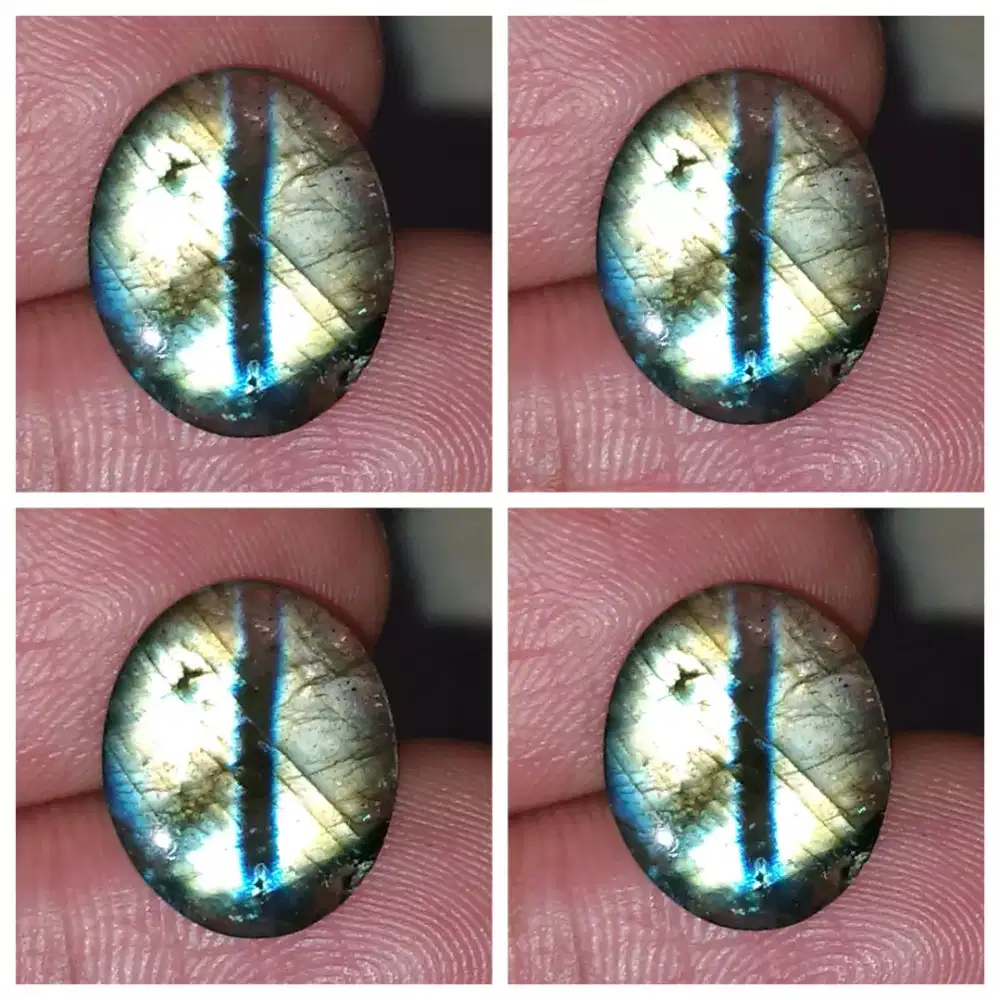 Cats Eye Labrador Kendit Antik