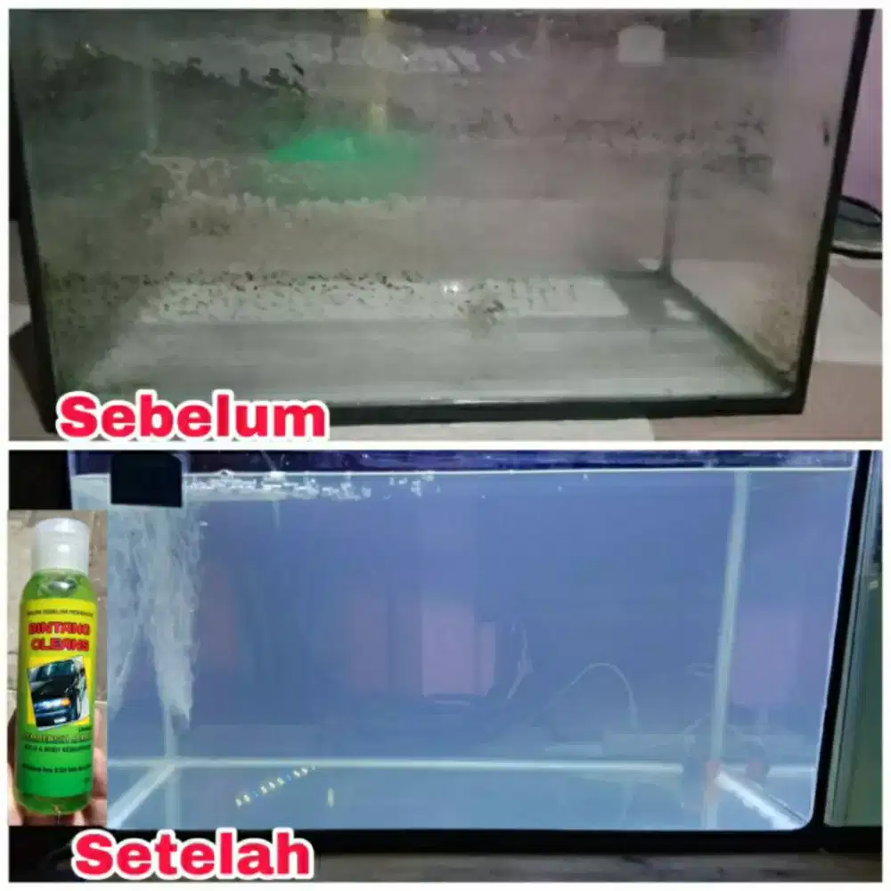 (BISA COD) OBAT PEMBERSIH JAMUR KACA AQUARIUM TERBAIK