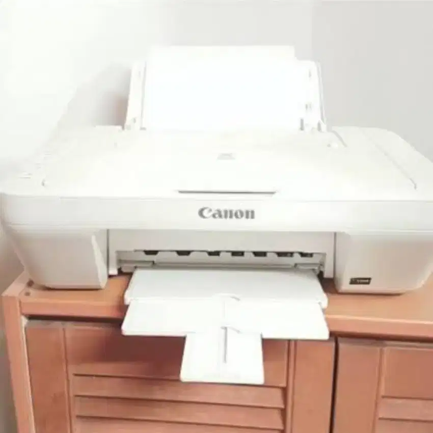 Printer Canon Mg2570